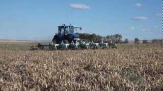 Cutting edible dry beans 2010 part 1.