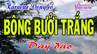 Karaoke vọng cổ BÔNG BƯỞI TRẮNG - DÂY ĐÀO