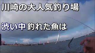 【東扇島西公園】大人気のメジャー釣り場で釣り！でも渋かった・・