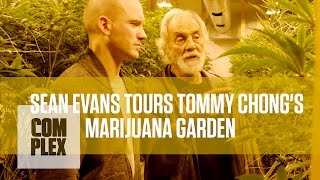 Tommy Chong's Medical Marijuana Garden | Complex