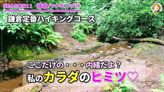 [鎌倉ハイキング⑦]鎌倉定番・王道ハイキングコース　ここだけの内緒だよ？生来生まれ持った選ばれし勇者に備わりし特殊身体能力を暴露します[#132]