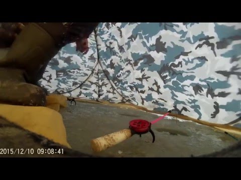 на что ловить на сурском водохранилище на что ловить на сурском водохранилище