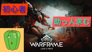 初心者がやる宇宙版ニンジャ[warframe]