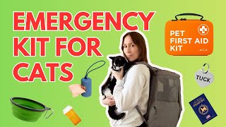 What every cat parent should have in an emergency