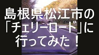 【B級スポット】【桜並木】【ドライブ】　島根県松江市島根町の「チェリーロード」に行ってみた！