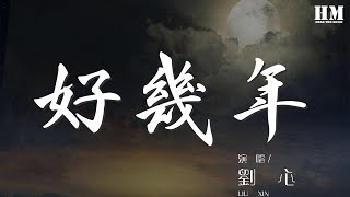 劉心 - 好幾年『有好幾年 有好幾年 好幾年 好幾年』【動態歌詞Lyrics】