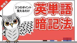 【英単語暗記法】最も効率よく英単語を暗記するための3つのポイント