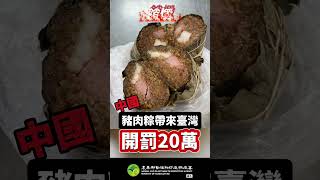 #中國大陸 #豬肉粽 不能帶回台灣❗開罰20萬❗ #檢疫物速報 【防檢署APHIA】