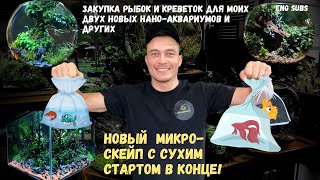 ЗАКУПКА РЫБОК И КРЕВЕТОК ДЛЯ ДВУХ МОИХ НОВЫХ НАНО-АКВАРИУМОВ | FISH AND SHRIMP FOR MY NEW NANO TANKS