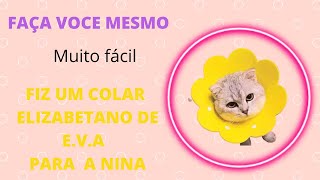 Faça você mesmo! Colar para gatos de EVA * baixo custo*