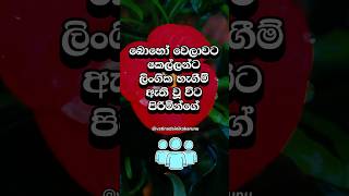 ගොඩක් දුරට කෙල්ලො කරන්නෙ ඕක 😍 #shorts #education #facts