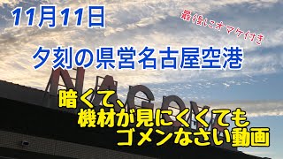 11月11日　県営名古屋空港の夕方の風景　オマケ付き