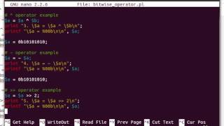 Perl Bitwise Operators Example