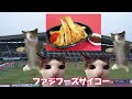 【Ｊリーグ開幕】jのある日常非日常【 猫ミーム 猫マニ 】