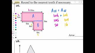 Chapter 11 Area Study Guide #25 - #28