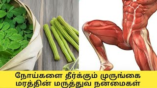 முருங்கை மரத்தின் இலை, பூ , காயினால் கிடைக்கும் நன்மைகள் | Moringa benefits