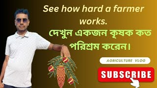 See how hard a farmer works. দেখুন একজন কৃষক কত পরিশ্রম করেন।