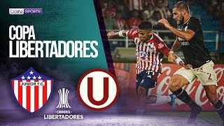 Junior (COL) vs Universitario (PER) | LIBERTADORES | 04/09/2024 | beIN SPORTS