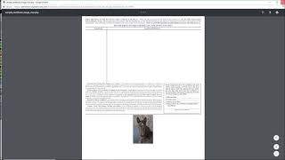 Digital Horses Register Animal