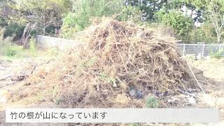 【動画No.0806】新拠点(京都府宮津市)準備 竹との戦い中