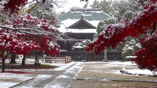 東漸寺の紅葉と雪 2016.11.24 Red leaves and snow at Tozenji