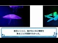 クラゲに関する面白い雑学