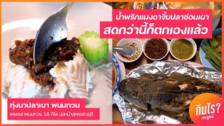 ทุ่งนาปลาเผา พนมทวน - กินไรกาญจน์