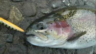 SAMONGACHI HANDMADE  LURE2011'　 中禅寺湖解禁　JIG MINNOW 55  TEST