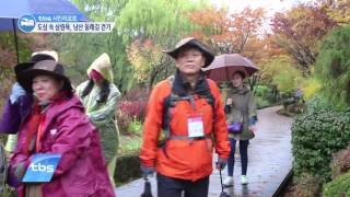 [tbstv] (시민리포트) 도심 속 삼림욕, 남산둘레길 걷기