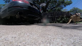 BEST EXHAUST on f10 bmw 535i - Borla S-Type