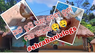 ଆଜି ଚୁଲି ରନ୍ଧା ଚୁନା ମାଛ ଖାଇବା | desi chuna macha | odia vlog | shrabani vlog