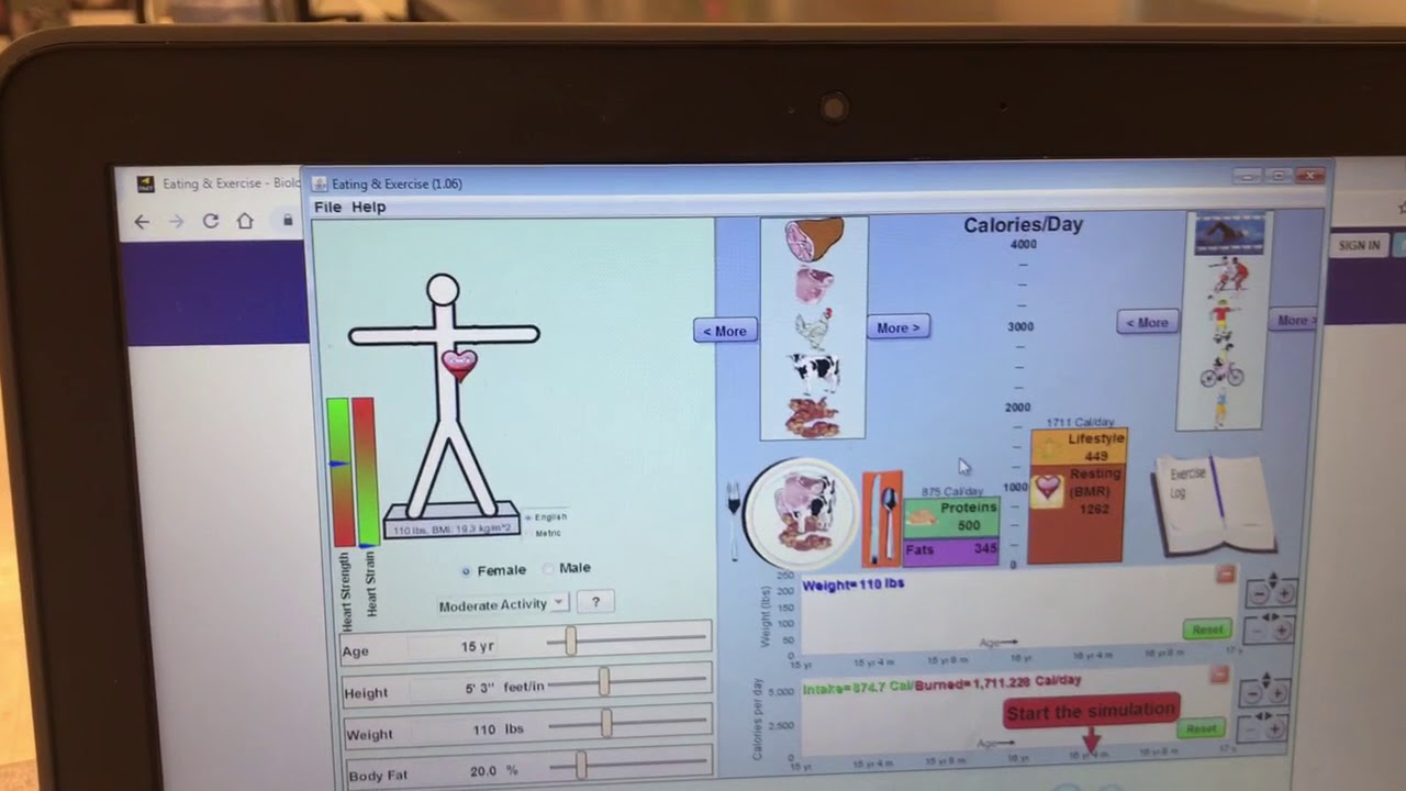 Exercise Virtual Lab Tutorial Youtube