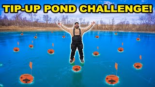 Backyard Pond TIP-UP Ice Fishing CHALLENGE!!! (We Found the Bass!)