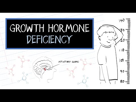 What stimulates growth hormone release?