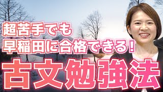 【現論会×岡本梨奈先生】古文勉強法を徹底解説！