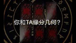 【龙女塔罗】你和TA缘分几何？是否能够步入婚姻殿堂？