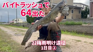 22梅雨明け雷魚\u0026ナマズ遠征１日目② 〜住宅街に溜まってる〜【480】虫くん釣りch