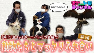 【テツandトモ】東北最大級  第15回ペットカーニバル・前編。可愛い小型犬・大型犬と触れあいます。鷹が腕に！