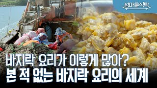 들어는 봤니? 이런 바지락 요리들🍲 미국 식약청 인증 고흥 바지락! 모든 요리에 바지락을 넣는 곳 고흥 외나로도의 식탁! 2023 섬마을 식탁 EP. 03