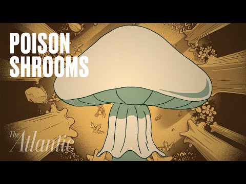 What is the most dangerous mushroom?