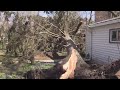 High winds knock over trees in Chicago area Thursday