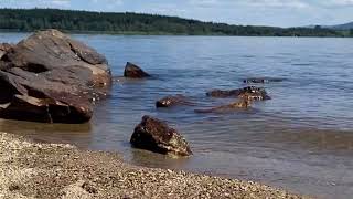 The Soothing Sounds of Small Waves on a Beautiful Lake🍁ASMR Relaxing Sounds for Deep Sleep🍁Sleepaid