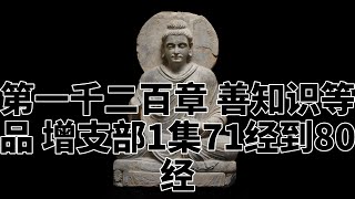 第一千二百章 善知识等品 增支部1集71经到80经。完全读懂巴利文大藏经（1200）