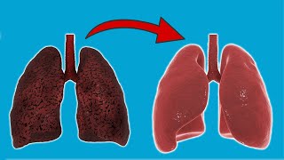 Clean your Lungs in 3 Days with THIS Drink 💥 (SUPER Easy) 🤯