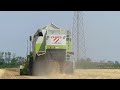 trebbiatura frumento claas lexion 430 u0026 lexion 760 fendt 930 vario tms u0026 scania g450 giacomin