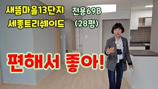 619,세종시 작아도 알찬 입지, 단지 옆 비알티 정류장 세종트리쉐이드 28평 전용69B 내부평면,구조 입지 소개영상