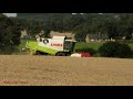 combine harvesting with claas lexion 420