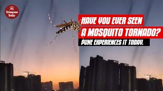 Mosquito Tornado in Pune | Health Concerns in Pune with Rising Water Levels | Pune News Today