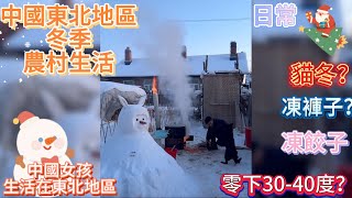 中國女孩紀錄東北地區的農村生活，東北的冬季，室內外溫差50—60攝氏度｜中國農村｜冬季｜東北｜積雪｜鄉村美食｜貓冬｜凍餃子｜手工製作｜狗狗｜｜零下30-40攝氏度｜西伯利亞｜科普