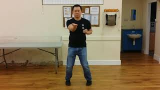 Siu Lim Tau (小念頭) - The first form of Wing Chun (詠春入門套路)